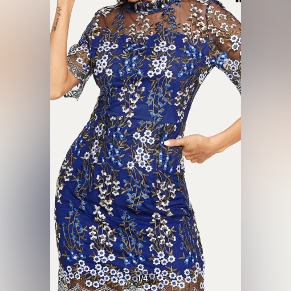 Floral Embroidery Mesh Overlay Bodycon Cocktail Party Formal Dress